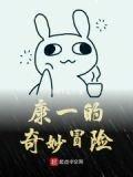 康一的奇妙冒险