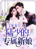 宠妻至上：陆少的专属新娘陆擎琛